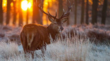 Outdoor sport Insurance
